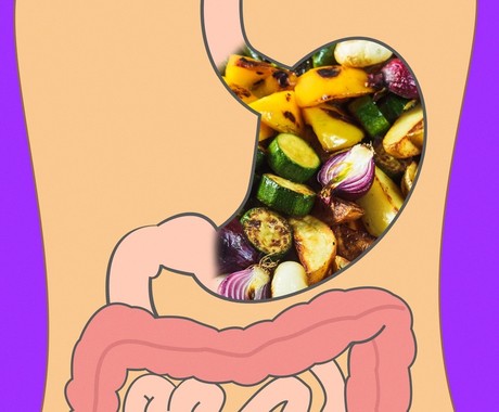 optimal food culture for-continuous health,زمان هزم سبزیجات پخته شده